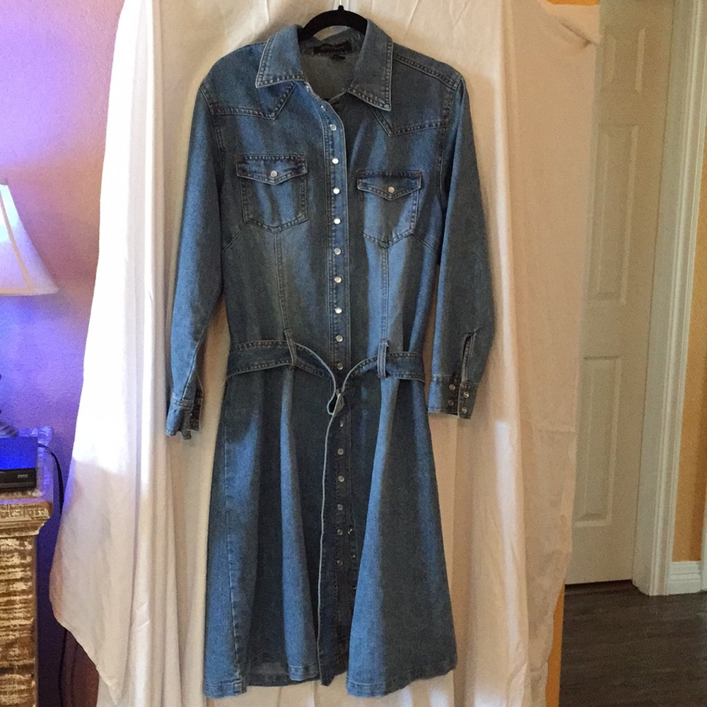 Ashley Stewart dress